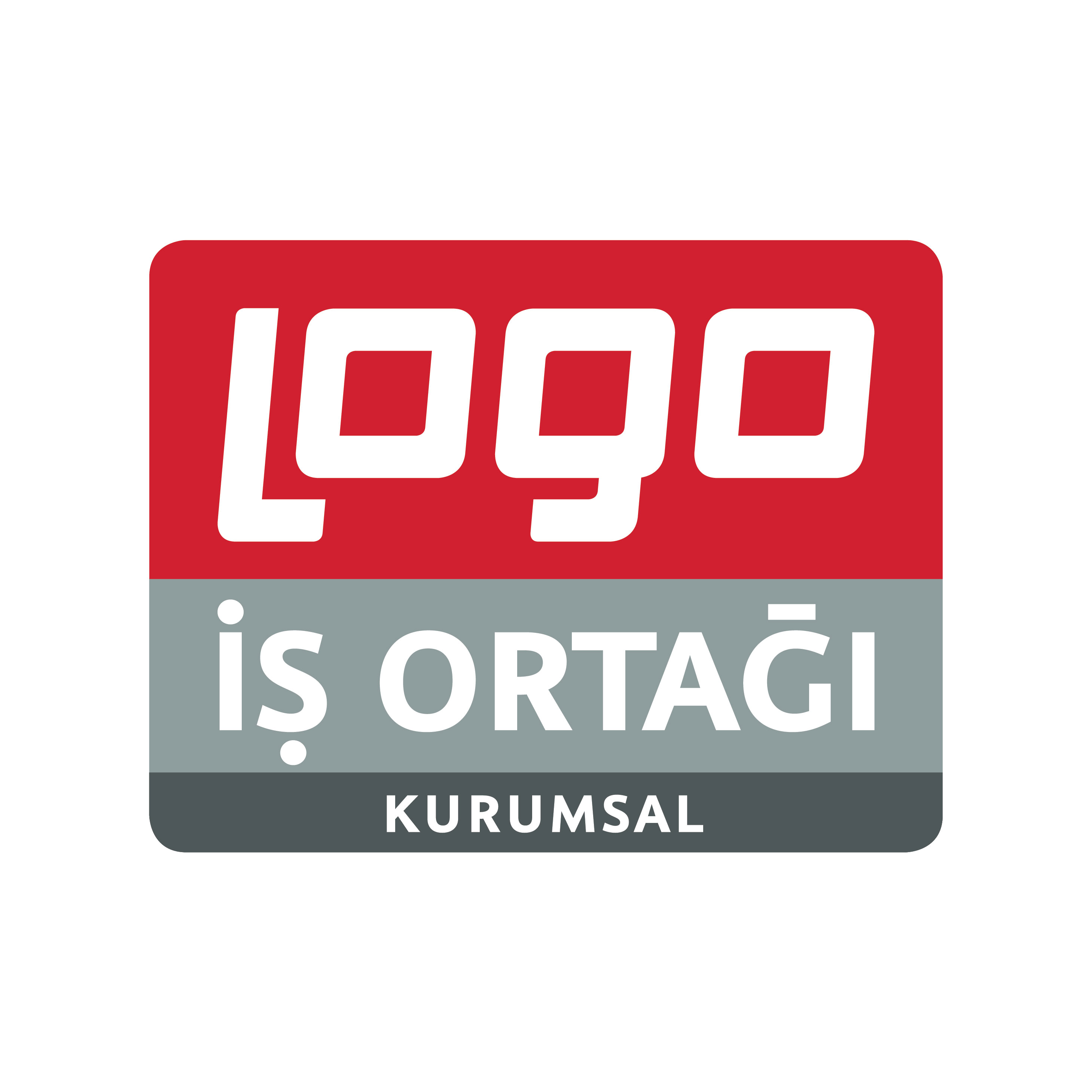 Kurumsal